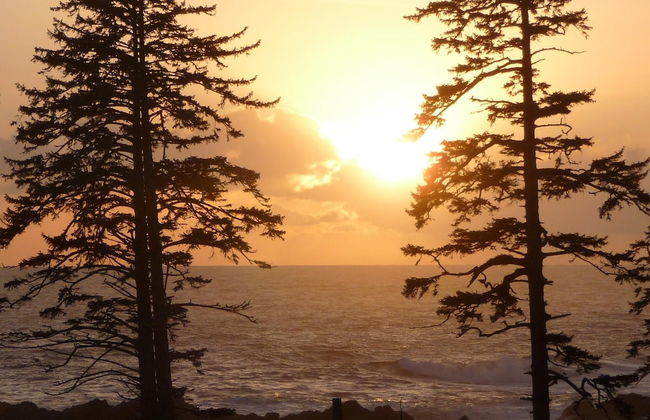 Pacific Rim Retreat - Photo 19