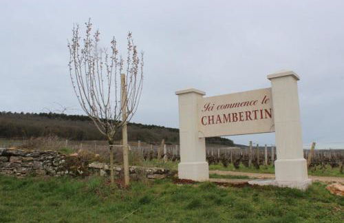 Le Richebourg - Foto 21