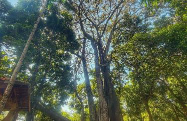 Rancho Refúgio das Árvores - Foto 21