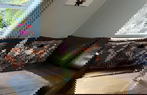 Swallow Cottage - Foto 25