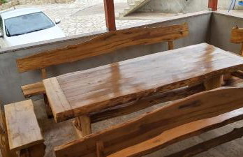 Bicho House - Foto 4