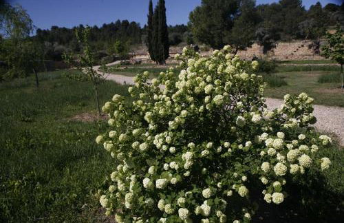 Hort de L'Aubert - Foto 11