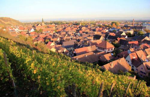 Le 6 : maison individuelle au cœur de l'Alsace - Foto 32