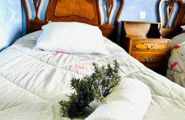 Masia Pau Prat - Foto 20