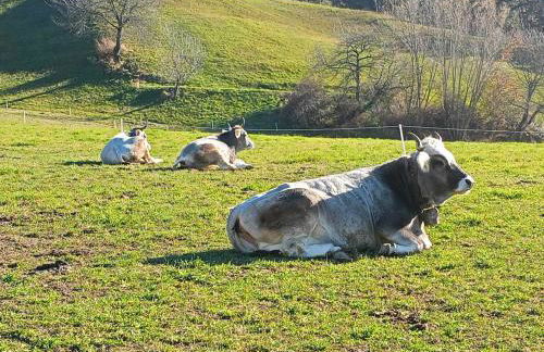Herzleierhof Rodeneck - Photo 42