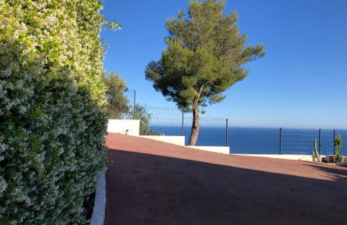 Vue mer.Tranquilité.Cap d'Ail à 10 mn de MONACO - Foto 14