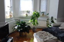 Ferienwohnung Waldglück - Photo 8