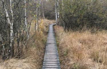 Landhausidylle - Photo 12