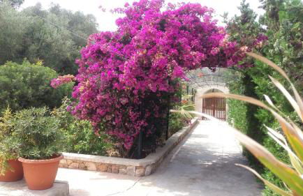 Apartamentos Villa Primera - Foto 6