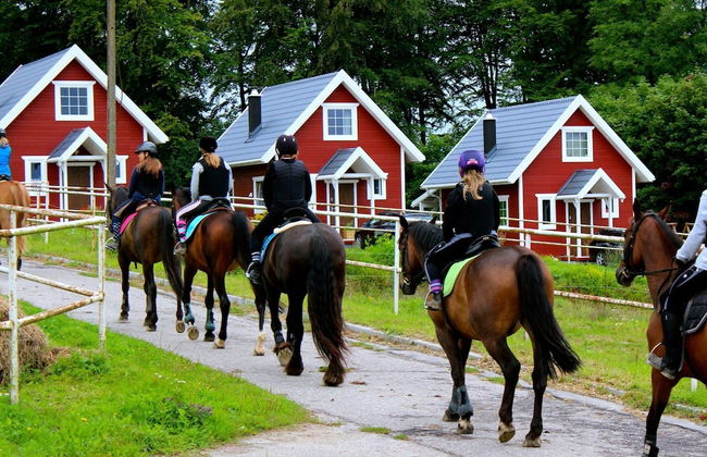 Holiday Home at a Horse Ranch - Photo 16