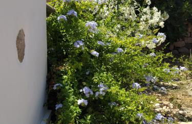 Latmos 1860 - Foto 84