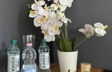 Atelier Premium 60m2 - Foto 14