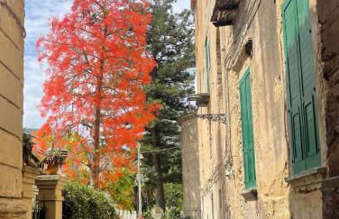 Tra Vicoli e Palazzi Apartment - Foto 35