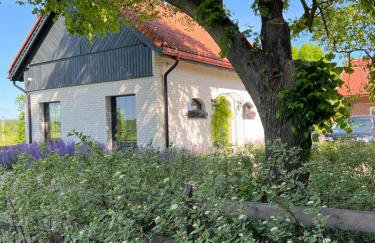 Cuda Wianki Mazury - Foto 15