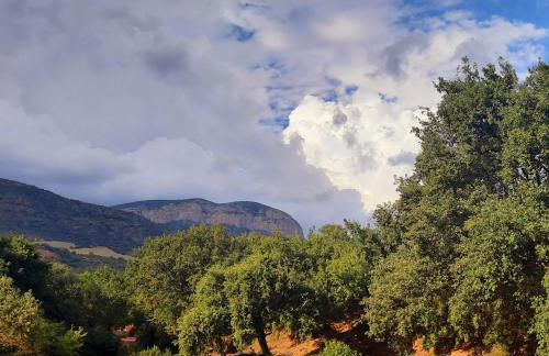 Corral de l'esquirol - Foto 48