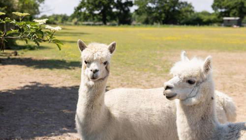 Harbour Ranch Hut - Rustic Countryside Escape - Foto 2