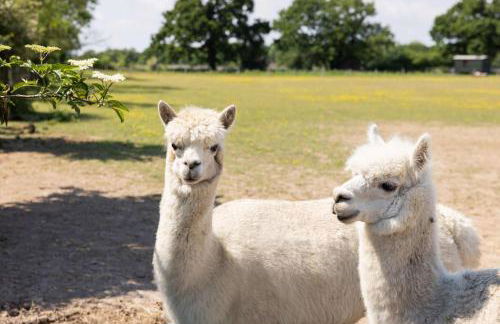 Harbour Ranch Hut - Rustic Countryside Escape - Photo 2
