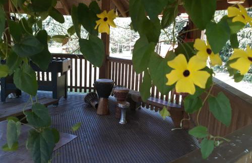 Uroczysko Ruczaj - Foto 34