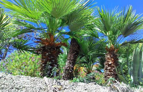 Residence La Carruba - Foto 65