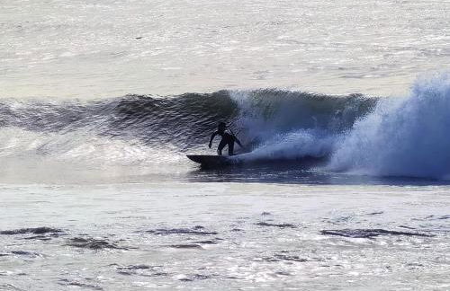 BLOOM al Mare - Photo 18