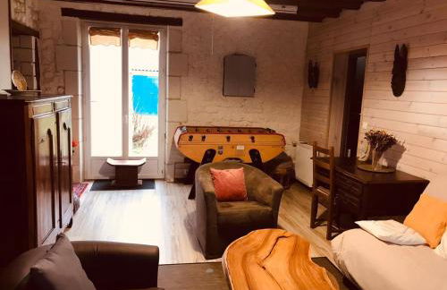 Maison familiale jardin wifi 17km Beauval - Foto 31