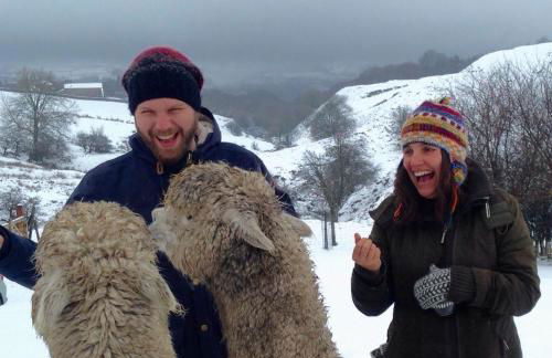 The End Place - Foto 16