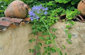 Maison d'Amis - Foto 34