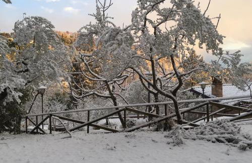 Il renaiolo - Foto 24