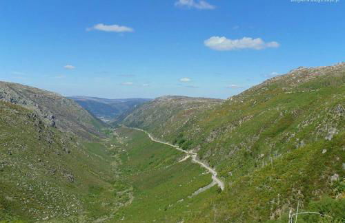 Casa Ferreira - Foto 39