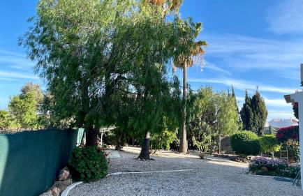 Nicola by Check-in Portugal - Foto 28