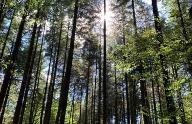 Charmant studio avec grande terrasse - Foto 16