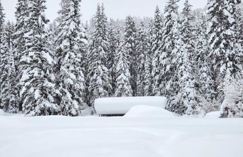 Stunning at Solitude, Steps from Chair Lift, East #103 - Foto 25