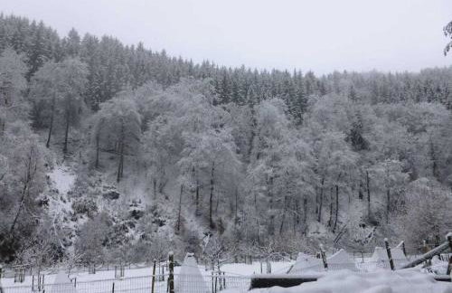 Neumühle from April 2014! - Foto 5