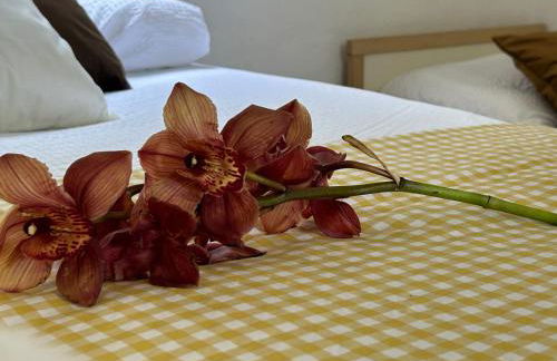 Casa Julián - Foto 26