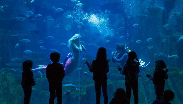 Paris Pass® Plus de Go City: más de 55 atracciones, incluido el Louvre - Foto 2