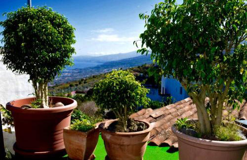 Finca Casa Madera 1 - Foto 9