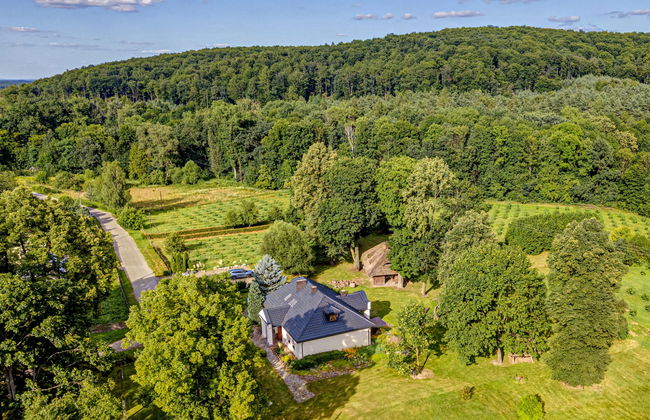 Dwór Bystrzanowice - Foto 26