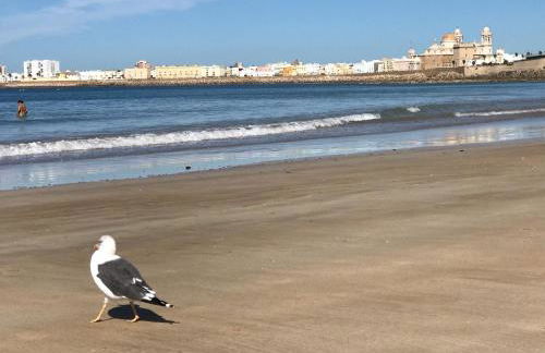 Molineros Victoria Beach - Photo 60