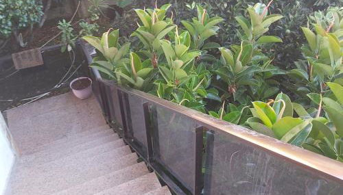 casa bembrive planta 1 - Foto 2