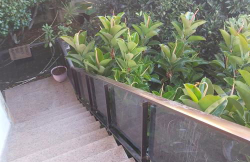 casa bembrive planta 1 - Foto 2