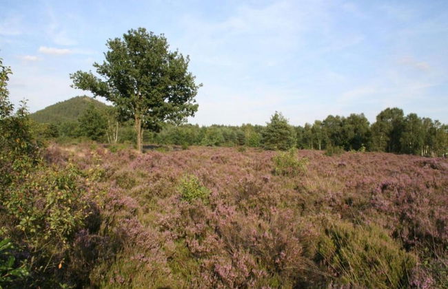 Hengelhoef Park Apartment - Foto 35