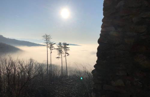 Ferienwohnung Gasser - Foto 28