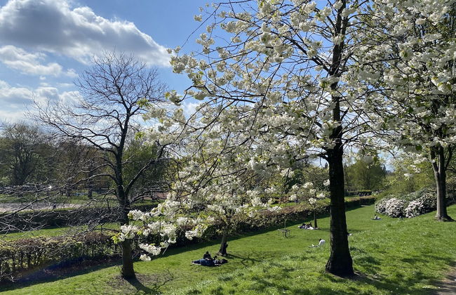 Captivating Apartment in Glasgow Westend, uk - Foto 18