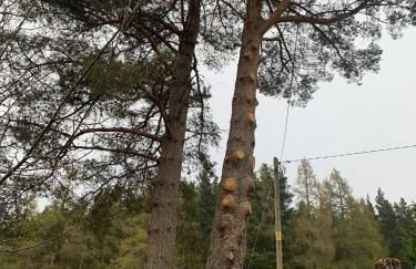 Charming cottage close to the Cairngorms - Foto 10