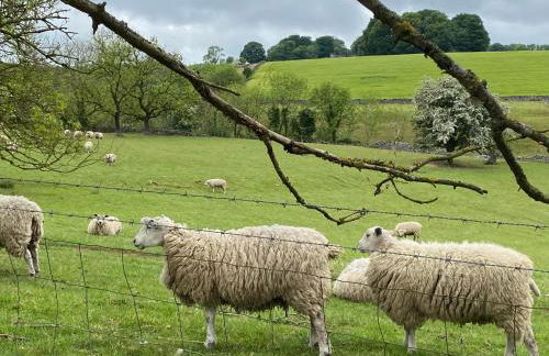 Candlelight Cottage - Litton - Photo 10