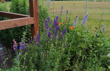 Smocze Ranczo 2 - Foto 41