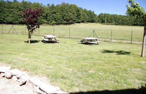 Le Mas des Oliviers - Foto 15