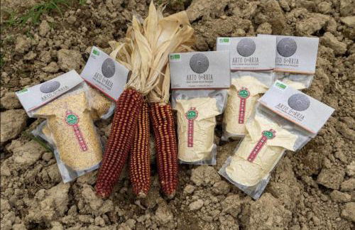 Irazabal Beheria - Foto 17