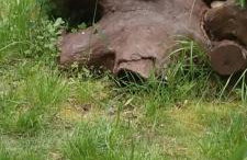 Domek nad jeziorem - Foto 9