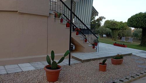 Olive mare Holidays - Foto 2